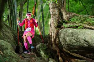 BIB: 
                            <button type="button" onclick="openModal(18501716)" class="btn btn-primary btn-sm float-right btn-popup" data-toggle="modal" data-target=".modal-high-quality">
                        <i class="fas fa-shopping-cart"></i> Add to Cart
                    </button>
                                            <button type="button" onclick="isThisMe(18501716, true)" class="btn btn-success btn-sm float-right btn-popup btn-isme hidden" data-toggle="tooltip" data-placement="bottom" title="นี่คือรูปของคุณใช่ไหม คลิกที่นี่เพื่อเอาเข้าอัลบั้ม">
                        <i class="fas fa-plus"></i> Add to album
                    </button>
                    <button type="button" onclick="isThisMe(18501716, false)" class="btn btn-warning btn-sm float-right btn-popup btn-isnotme hidden">
                        <i class="fas fa-ban"></i> Remove from album
                    </button>