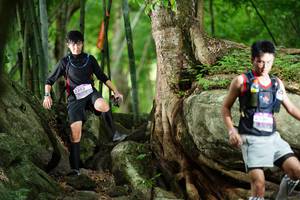 BIB: 
                            <button type="button" onclick="openModal(18501368)" class="btn btn-primary btn-sm float-right btn-popup" data-toggle="modal" data-target=".modal-high-quality">
                        <i class="fas fa-shopping-cart"></i> Add to Cart
                    </button>
                                            <button type="button" onclick="isThisMe(18501368, true)" class="btn btn-success btn-sm float-right btn-popup btn-isme hidden" data-toggle="tooltip" data-placement="bottom" title="นี่คือรูปของคุณใช่ไหม คลิกที่นี่เพื่อเอาเข้าอัลบั้ม">
                        <i class="fas fa-plus"></i> Add to album
                    </button>
                    <button type="button" onclick="isThisMe(18501368, false)" class="btn btn-warning btn-sm float-right btn-popup btn-isnotme hidden">
                        <i class="fas fa-ban"></i> Remove from album
                    </button>