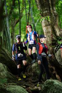 BIB: 
                            <button type="button" onclick="openModal(18497046)" class="btn btn-primary btn-sm float-right btn-popup" data-toggle="modal" data-target=".modal-high-quality">
                        <i class="fas fa-shopping-cart"></i> Add to Cart
                    </button>
                                            <button type="button" onclick="isThisMe(18497046, true)" class="btn btn-success btn-sm float-right btn-popup btn-isme hidden" data-toggle="tooltip" data-placement="bottom" title="นี่คือรูปของคุณใช่ไหม คลิกที่นี่เพื่อเอาเข้าอัลบั้ม">
                        <i class="fas fa-plus"></i> Add to album
                    </button>
                    <button type="button" onclick="isThisMe(18497046, false)" class="btn btn-warning btn-sm float-right btn-popup btn-isnotme hidden">
                        <i class="fas fa-ban"></i> Remove from album
                    </button>