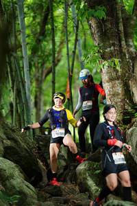 BIB: 
                            <button type="button" onclick="openModal(18497339)" class="btn btn-primary btn-sm float-right btn-popup" data-toggle="modal" data-target=".modal-high-quality">
                        <i class="fas fa-shopping-cart"></i> Add to Cart
                    </button>
                                            <button type="button" onclick="isThisMe(18497339, true)" class="btn btn-success btn-sm float-right btn-popup btn-isme hidden" data-toggle="tooltip" data-placement="bottom" title="นี่คือรูปของคุณใช่ไหม คลิกที่นี่เพื่อเอาเข้าอัลบั้ม">
                        <i class="fas fa-plus"></i> Add to album
                    </button>
                    <button type="button" onclick="isThisMe(18497339, false)" class="btn btn-warning btn-sm float-right btn-popup btn-isnotme hidden">
                        <i class="fas fa-ban"></i> Remove from album
                    </button>