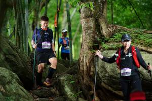 BIB: 
                            <button type="button" onclick="openModal(18493496)" class="btn btn-primary btn-sm float-right btn-popup" data-toggle="modal" data-target=".modal-high-quality">
                        <i class="fas fa-shopping-cart"></i> Add to Cart
                    </button>
                                            <button type="button" onclick="isThisMe(18493496, true)" class="btn btn-success btn-sm float-right btn-popup btn-isme hidden" data-toggle="tooltip" data-placement="bottom" title="นี่คือรูปของคุณใช่ไหม คลิกที่นี่เพื่อเอาเข้าอัลบั้ม">
                        <i class="fas fa-plus"></i> Add to album
                    </button>
                    <button type="button" onclick="isThisMe(18493496, false)" class="btn btn-warning btn-sm float-right btn-popup btn-isnotme hidden">
                        <i class="fas fa-ban"></i> Remove from album
                    </button>