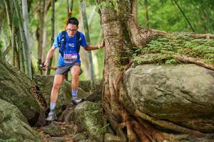 BIB: 
                            <button type="button" onclick="openModal(18502668)" class="btn btn-primary btn-sm float-right btn-popup" data-toggle="modal" data-target=".modal-high-quality">
                        <i class="fas fa-shopping-cart"></i> Add to Cart
                    </button>
                                            <button type="button" onclick="isThisMe(18502668, true)" class="btn btn-success btn-sm float-right btn-popup btn-isme hidden" data-toggle="tooltip" data-placement="bottom" title="นี่คือรูปของคุณใช่ไหม คลิกที่นี่เพื่อเอาเข้าอัลบั้ม">
                        <i class="fas fa-plus"></i> Add to album
                    </button>
                    <button type="button" onclick="isThisMe(18502668, false)" class="btn btn-warning btn-sm float-right btn-popup btn-isnotme hidden">
                        <i class="fas fa-ban"></i> Remove from album
                    </button>