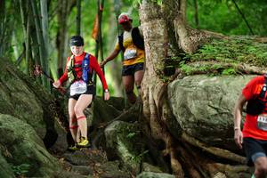 BIB: 
                            <button type="button" onclick="openModal(18501754)" class="btn btn-primary btn-sm float-right btn-popup" data-toggle="modal" data-target=".modal-high-quality">
                        <i class="fas fa-shopping-cart"></i> Add to Cart
                    </button>
                                            <button type="button" onclick="isThisMe(18501754, true)" class="btn btn-success btn-sm float-right btn-popup btn-isme hidden" data-toggle="tooltip" data-placement="bottom" title="นี่คือรูปของคุณใช่ไหม คลิกที่นี่เพื่อเอาเข้าอัลบั้ม">
                        <i class="fas fa-plus"></i> Add to album
                    </button>
                    <button type="button" onclick="isThisMe(18501754, false)" class="btn btn-warning btn-sm float-right btn-popup btn-isnotme hidden">
                        <i class="fas fa-ban"></i> Remove from album
                    </button>