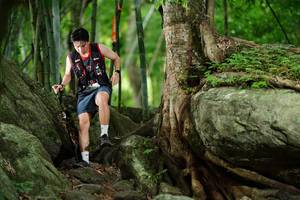 BIB: 
                            <button type="button" onclick="openModal(18493150)" class="btn btn-primary btn-sm float-right btn-popup" data-toggle="modal" data-target=".modal-high-quality">
                        <i class="fas fa-shopping-cart"></i> Add to Cart
                    </button>
                                            <button type="button" onclick="isThisMe(18493150, true)" class="btn btn-success btn-sm float-right btn-popup btn-isme hidden" data-toggle="tooltip" data-placement="bottom" title="นี่คือรูปของคุณใช่ไหม คลิกที่นี่เพื่อเอาเข้าอัลบั้ม">
                        <i class="fas fa-plus"></i> Add to album
                    </button>
                    <button type="button" onclick="isThisMe(18493150, false)" class="btn btn-warning btn-sm float-right btn-popup btn-isnotme hidden">
                        <i class="fas fa-ban"></i> Remove from album
                    </button>