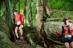 BIB: 
                            <button type="button" onclick="openModal(18501712)" class="btn btn-primary btn-sm float-right btn-popup" data-toggle="modal" data-target=".modal-high-quality">
                        <i class="fas fa-shopping-cart"></i> Add to Cart
                    </button>
                                            <button type="button" onclick="isThisMe(18501712, true)" class="btn btn-success btn-sm float-right btn-popup btn-isme hidden" data-toggle="tooltip" data-placement="bottom" title="นี่คือรูปของคุณใช่ไหม คลิกที่นี่เพื่อเอาเข้าอัลบั้ม">
                        <i class="fas fa-plus"></i> Add to album
                    </button>
                    <button type="button" onclick="isThisMe(18501712, false)" class="btn btn-warning btn-sm float-right btn-popup btn-isnotme hidden">
                        <i class="fas fa-ban"></i> Remove from album
                    </button>