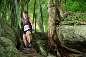 BIB: 
                            <button type="button" onclick="openModal(18497481)" class="btn btn-primary btn-sm float-right btn-popup" data-toggle="modal" data-target=".modal-high-quality">
                        <i class="fas fa-shopping-cart"></i> Add to Cart
                    </button>
                                            <button type="button" onclick="isThisMe(18497481, true)" class="btn btn-success btn-sm float-right btn-popup btn-isme hidden" data-toggle="tooltip" data-placement="bottom" title="นี่คือรูปของคุณใช่ไหม คลิกที่นี่เพื่อเอาเข้าอัลบั้ม">
                        <i class="fas fa-plus"></i> Add to album
                    </button>
                    <button type="button" onclick="isThisMe(18497481, false)" class="btn btn-warning btn-sm float-right btn-popup btn-isnotme hidden">
                        <i class="fas fa-ban"></i> Remove from album
                    </button>