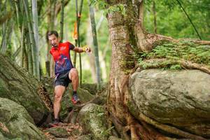 BIB: 
                            <button type="button" onclick="openModal(18502679)" class="btn btn-primary btn-sm float-right btn-popup" data-toggle="modal" data-target=".modal-high-quality">
                        <i class="fas fa-shopping-cart"></i> Add to Cart
                    </button>
                                            <button type="button" onclick="isThisMe(18502679, true)" class="btn btn-success btn-sm float-right btn-popup btn-isme hidden" data-toggle="tooltip" data-placement="bottom" title="นี่คือรูปของคุณใช่ไหม คลิกที่นี่เพื่อเอาเข้าอัลบั้ม">
                        <i class="fas fa-plus"></i> Add to album
                    </button>
                    <button type="button" onclick="isThisMe(18502679, false)" class="btn btn-warning btn-sm float-right btn-popup btn-isnotme hidden">
                        <i class="fas fa-ban"></i> Remove from album
                    </button>