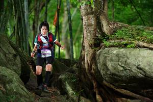 BIB: 
                            <button type="button" onclick="openModal(18501183)" class="btn btn-primary btn-sm float-right btn-popup" data-toggle="modal" data-target=".modal-high-quality">
                        <i class="fas fa-shopping-cart"></i> Add to Cart
                    </button>
                                            <button type="button" onclick="isThisMe(18501183, true)" class="btn btn-success btn-sm float-right btn-popup btn-isme hidden" data-toggle="tooltip" data-placement="bottom" title="นี่คือรูปของคุณใช่ไหม คลิกที่นี่เพื่อเอาเข้าอัลบั้ม">
                        <i class="fas fa-plus"></i> Add to album
                    </button>
                    <button type="button" onclick="isThisMe(18501183, false)" class="btn btn-warning btn-sm float-right btn-popup btn-isnotme hidden">
                        <i class="fas fa-ban"></i> Remove from album
                    </button>