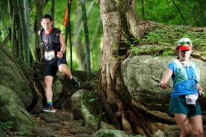 BIB: 
                            <button type="button" onclick="openModal(18501738)" class="btn btn-primary btn-sm float-right btn-popup" data-toggle="modal" data-target=".modal-high-quality">
                        <i class="fas fa-shopping-cart"></i> Add to Cart
                    </button>
                                            <button type="button" onclick="isThisMe(18501738, true)" class="btn btn-success btn-sm float-right btn-popup btn-isme hidden" data-toggle="tooltip" data-placement="bottom" title="นี่คือรูปของคุณใช่ไหม คลิกที่นี่เพื่อเอาเข้าอัลบั้ม">
                        <i class="fas fa-plus"></i> Add to album
                    </button>
                    <button type="button" onclick="isThisMe(18501738, false)" class="btn btn-warning btn-sm float-right btn-popup btn-isnotme hidden">
                        <i class="fas fa-ban"></i> Remove from album
                    </button>