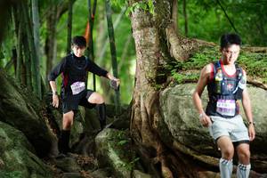 BIB: 
                            <button type="button" onclick="openModal(18501367)" class="btn btn-primary btn-sm float-right btn-popup" data-toggle="modal" data-target=".modal-high-quality">
                        <i class="fas fa-shopping-cart"></i> Add to Cart
                    </button>
                                            <button type="button" onclick="isThisMe(18501367, true)" class="btn btn-success btn-sm float-right btn-popup btn-isme hidden" data-toggle="tooltip" data-placement="bottom" title="นี่คือรูปของคุณใช่ไหม คลิกที่นี่เพื่อเอาเข้าอัลบั้ม">
                        <i class="fas fa-plus"></i> Add to album
                    </button>
                    <button type="button" onclick="isThisMe(18501367, false)" class="btn btn-warning btn-sm float-right btn-popup btn-isnotme hidden">
                        <i class="fas fa-ban"></i> Remove from album
                    </button>