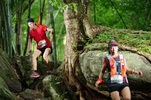 BIB: 
                            <button type="button" onclick="openModal(18501708)" class="btn btn-primary btn-sm float-right btn-popup" data-toggle="modal" data-target=".modal-high-quality">
                        <i class="fas fa-shopping-cart"></i> Add to Cart
                    </button>
                                            <button type="button" onclick="isThisMe(18501708, true)" class="btn btn-success btn-sm float-right btn-popup btn-isme hidden" data-toggle="tooltip" data-placement="bottom" title="นี่คือรูปของคุณใช่ไหม คลิกที่นี่เพื่อเอาเข้าอัลบั้ม">
                        <i class="fas fa-plus"></i> Add to album
                    </button>
                    <button type="button" onclick="isThisMe(18501708, false)" class="btn btn-warning btn-sm float-right btn-popup btn-isnotme hidden">
                        <i class="fas fa-ban"></i> Remove from album
                    </button>