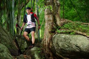 BIB: 
                            <button type="button" onclick="openModal(18500959)" class="btn btn-primary btn-sm float-right btn-popup" data-toggle="modal" data-target=".modal-high-quality">
                        <i class="fas fa-shopping-cart"></i> Add to Cart
                    </button>
                                            <button type="button" onclick="isThisMe(18500959, true)" class="btn btn-success btn-sm float-right btn-popup btn-isme hidden" data-toggle="tooltip" data-placement="bottom" title="นี่คือรูปของคุณใช่ไหม คลิกที่นี่เพื่อเอาเข้าอัลบั้ม">
                        <i class="fas fa-plus"></i> Add to album
                    </button>
                    <button type="button" onclick="isThisMe(18500959, false)" class="btn btn-warning btn-sm float-right btn-popup btn-isnotme hidden">
                        <i class="fas fa-ban"></i> Remove from album
                    </button>