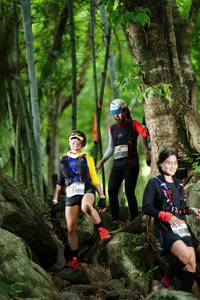 BIB: 
                            <button type="button" onclick="openModal(18497338)" class="btn btn-primary btn-sm float-right btn-popup" data-toggle="modal" data-target=".modal-high-quality">
                        <i class="fas fa-shopping-cart"></i> Add to Cart
                    </button>
                                            <button type="button" onclick="isThisMe(18497338, true)" class="btn btn-success btn-sm float-right btn-popup btn-isme hidden" data-toggle="tooltip" data-placement="bottom" title="นี่คือรูปของคุณใช่ไหม คลิกที่นี่เพื่อเอาเข้าอัลบั้ม">
                        <i class="fas fa-plus"></i> Add to album
                    </button>
                    <button type="button" onclick="isThisMe(18497338, false)" class="btn btn-warning btn-sm float-right btn-popup btn-isnotme hidden">
                        <i class="fas fa-ban"></i> Remove from album
                    </button>