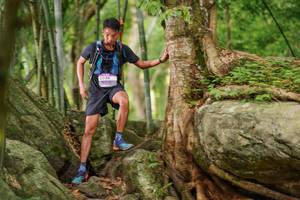 BIB: 
                            <button type="button" onclick="openModal(18502812)" class="btn btn-primary btn-sm float-right btn-popup" data-toggle="modal" data-target=".modal-high-quality">
                        <i class="fas fa-shopping-cart"></i> Add to Cart
                    </button>
                                            <button type="button" onclick="isThisMe(18502812, true)" class="btn btn-success btn-sm float-right btn-popup btn-isme hidden" data-toggle="tooltip" data-placement="bottom" title="นี่คือรูปของคุณใช่ไหม คลิกที่นี่เพื่อเอาเข้าอัลบั้ม">
                        <i class="fas fa-plus"></i> Add to album
                    </button>
                    <button type="button" onclick="isThisMe(18502812, false)" class="btn btn-warning btn-sm float-right btn-popup btn-isnotme hidden">
                        <i class="fas fa-ban"></i> Remove from album
                    </button>