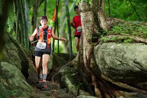 BIB: 
                            <button type="button" onclick="openModal(18501707)" class="btn btn-primary btn-sm float-right btn-popup" data-toggle="modal" data-target=".modal-high-quality">
                        <i class="fas fa-shopping-cart"></i> Add to Cart
                    </button>
                                            <button type="button" onclick="isThisMe(18501707, true)" class="btn btn-success btn-sm float-right btn-popup btn-isme hidden" data-toggle="tooltip" data-placement="bottom" title="นี่คือรูปของคุณใช่ไหม คลิกที่นี่เพื่อเอาเข้าอัลบั้ม">
                        <i class="fas fa-plus"></i> Add to album
                    </button>
                    <button type="button" onclick="isThisMe(18501707, false)" class="btn btn-warning btn-sm float-right btn-popup btn-isnotme hidden">
                        <i class="fas fa-ban"></i> Remove from album
                    </button>