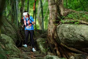 BIB: 
                            <button type="button" onclick="openModal(18493547)" class="btn btn-primary btn-sm float-right btn-popup" data-toggle="modal" data-target=".modal-high-quality">
                        <i class="fas fa-shopping-cart"></i> Add to Cart
                    </button>
                                            <button type="button" onclick="isThisMe(18493547, true)" class="btn btn-success btn-sm float-right btn-popup btn-isme hidden" data-toggle="tooltip" data-placement="bottom" title="นี่คือรูปของคุณใช่ไหม คลิกที่นี่เพื่อเอาเข้าอัลบั้ม">
                        <i class="fas fa-plus"></i> Add to album
                    </button>
                    <button type="button" onclick="isThisMe(18493547, false)" class="btn btn-warning btn-sm float-right btn-popup btn-isnotme hidden">
                        <i class="fas fa-ban"></i> Remove from album
                    </button>