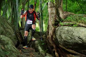 BIB: 
                            <button type="button" onclick="openModal(18497059)" class="btn btn-primary btn-sm float-right btn-popup" data-toggle="modal" data-target=".modal-high-quality">
                        <i class="fas fa-shopping-cart"></i> Add to Cart
                    </button>
                                            <button type="button" onclick="isThisMe(18497059, true)" class="btn btn-success btn-sm float-right btn-popup btn-isme hidden" data-toggle="tooltip" data-placement="bottom" title="นี่คือรูปของคุณใช่ไหม คลิกที่นี่เพื่อเอาเข้าอัลบั้ม">
                        <i class="fas fa-plus"></i> Add to album
                    </button>
                    <button type="button" onclick="isThisMe(18497059, false)" class="btn btn-warning btn-sm float-right btn-popup btn-isnotme hidden">
                        <i class="fas fa-ban"></i> Remove from album
                    </button>