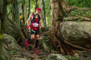 BIB: 
                            <button type="button" onclick="openModal(18502653)" class="btn btn-primary btn-sm float-right btn-popup" data-toggle="modal" data-target=".modal-high-quality">
                        <i class="fas fa-shopping-cart"></i> Add to Cart
                    </button>
                                            <button type="button" onclick="isThisMe(18502653, true)" class="btn btn-success btn-sm float-right btn-popup btn-isme hidden" data-toggle="tooltip" data-placement="bottom" title="นี่คือรูปของคุณใช่ไหม คลิกที่นี่เพื่อเอาเข้าอัลบั้ม">
                        <i class="fas fa-plus"></i> Add to album
                    </button>
                    <button type="button" onclick="isThisMe(18502653, false)" class="btn btn-warning btn-sm float-right btn-popup btn-isnotme hidden">
                        <i class="fas fa-ban"></i> Remove from album
                    </button>