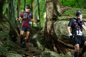 BIB: 
                            <button type="button" onclick="openModal(18501844)" class="btn btn-primary btn-sm float-right btn-popup" data-toggle="modal" data-target=".modal-high-quality">
                        <i class="fas fa-shopping-cart"></i> Add to Cart
                    </button>
                                            <button type="button" onclick="isThisMe(18501844, true)" class="btn btn-success btn-sm float-right btn-popup btn-isme hidden" data-toggle="tooltip" data-placement="bottom" title="นี่คือรูปของคุณใช่ไหม คลิกที่นี่เพื่อเอาเข้าอัลบั้ม">
                        <i class="fas fa-plus"></i> Add to album
                    </button>
                    <button type="button" onclick="isThisMe(18501844, false)" class="btn btn-warning btn-sm float-right btn-popup btn-isnotme hidden">
                        <i class="fas fa-ban"></i> Remove from album
                    </button>