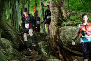 BIB: 
                            <button type="button" onclick="openModal(18493223)" class="btn btn-primary btn-sm float-right btn-popup" data-toggle="modal" data-target=".modal-high-quality">
                        <i class="fas fa-shopping-cart"></i> Add to Cart
                    </button>
                                            <button type="button" onclick="isThisMe(18493223, true)" class="btn btn-success btn-sm float-right btn-popup btn-isme hidden" data-toggle="tooltip" data-placement="bottom" title="นี่คือรูปของคุณใช่ไหม คลิกที่นี่เพื่อเอาเข้าอัลบั้ม">
                        <i class="fas fa-plus"></i> Add to album
                    </button>
                    <button type="button" onclick="isThisMe(18493223, false)" class="btn btn-warning btn-sm float-right btn-popup btn-isnotme hidden">
                        <i class="fas fa-ban"></i> Remove from album
                    </button>