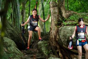 BIB: 
                            <button type="button" onclick="openModal(18493670)" class="btn btn-primary btn-sm float-right btn-popup" data-toggle="modal" data-target=".modal-high-quality">
                        <i class="fas fa-shopping-cart"></i> Add to Cart
                    </button>
                                            <button type="button" onclick="isThisMe(18493670, true)" class="btn btn-success btn-sm float-right btn-popup btn-isme hidden" data-toggle="tooltip" data-placement="bottom" title="นี่คือรูปของคุณใช่ไหม คลิกที่นี่เพื่อเอาเข้าอัลบั้ม">
                        <i class="fas fa-plus"></i> Add to album
                    </button>
                    <button type="button" onclick="isThisMe(18493670, false)" class="btn btn-warning btn-sm float-right btn-popup btn-isnotme hidden">
                        <i class="fas fa-ban"></i> Remove from album
                    </button>