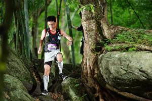 BIB: 
                            <button type="button" onclick="openModal(18501361)" class="btn btn-primary btn-sm float-right btn-popup" data-toggle="modal" data-target=".modal-high-quality">
                        <i class="fas fa-shopping-cart"></i> Add to Cart
                    </button>
                                            <button type="button" onclick="isThisMe(18501361, true)" class="btn btn-success btn-sm float-right btn-popup btn-isme hidden" data-toggle="tooltip" data-placement="bottom" title="นี่คือรูปของคุณใช่ไหม คลิกที่นี่เพื่อเอาเข้าอัลบั้ม">
                        <i class="fas fa-plus"></i> Add to album
                    </button>
                    <button type="button" onclick="isThisMe(18501361, false)" class="btn btn-warning btn-sm float-right btn-popup btn-isnotme hidden">
                        <i class="fas fa-ban"></i> Remove from album
                    </button>