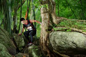 BIB: 
                            <button type="button" onclick="openModal(18501470)" class="btn btn-primary btn-sm float-right btn-popup" data-toggle="modal" data-target=".modal-high-quality">
                        <i class="fas fa-shopping-cart"></i> Add to Cart
                    </button>
                                            <button type="button" onclick="isThisMe(18501470, true)" class="btn btn-success btn-sm float-right btn-popup btn-isme hidden" data-toggle="tooltip" data-placement="bottom" title="นี่คือรูปของคุณใช่ไหม คลิกที่นี่เพื่อเอาเข้าอัลบั้ม">
                        <i class="fas fa-plus"></i> Add to album
                    </button>
                    <button type="button" onclick="isThisMe(18501470, false)" class="btn btn-warning btn-sm float-right btn-popup btn-isnotme hidden">
                        <i class="fas fa-ban"></i> Remove from album
                    </button>