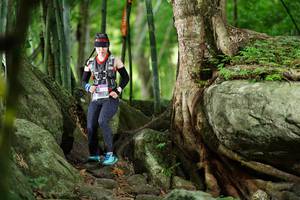 BIB: 
                            <button type="button" onclick="openModal(18501602)" class="btn btn-primary btn-sm float-right btn-popup" data-toggle="modal" data-target=".modal-high-quality">
                        <i class="fas fa-shopping-cart"></i> Add to Cart
                    </button>
                                            <button type="button" onclick="isThisMe(18501602, true)" class="btn btn-success btn-sm float-right btn-popup btn-isme hidden" data-toggle="tooltip" data-placement="bottom" title="นี่คือรูปของคุณใช่ไหม คลิกที่นี่เพื่อเอาเข้าอัลบั้ม">
                        <i class="fas fa-plus"></i> Add to album
                    </button>
                    <button type="button" onclick="isThisMe(18501602, false)" class="btn btn-warning btn-sm float-right btn-popup btn-isnotme hidden">
                        <i class="fas fa-ban"></i> Remove from album
                    </button>