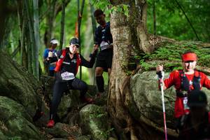 BIB: 
                            <button type="button" onclick="openModal(18493475)" class="btn btn-primary btn-sm float-right btn-popup" data-toggle="modal" data-target=".modal-high-quality">
                        <i class="fas fa-shopping-cart"></i> Add to Cart
                    </button>
                                            <button type="button" onclick="isThisMe(18493475, true)" class="btn btn-success btn-sm float-right btn-popup btn-isme hidden" data-toggle="tooltip" data-placement="bottom" title="นี่คือรูปของคุณใช่ไหม คลิกที่นี่เพื่อเอาเข้าอัลบั้ม">
                        <i class="fas fa-plus"></i> Add to album
                    </button>
                    <button type="button" onclick="isThisMe(18493475, false)" class="btn btn-warning btn-sm float-right btn-popup btn-isnotme hidden">
                        <i class="fas fa-ban"></i> Remove from album
                    </button>