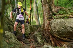 BIB: 
                            <button type="button" onclick="openModal(18502759)" class="btn btn-primary btn-sm float-right btn-popup" data-toggle="modal" data-target=".modal-high-quality">
                        <i class="fas fa-shopping-cart"></i> Add to Cart
                    </button>
                                            <button type="button" onclick="isThisMe(18502759, true)" class="btn btn-success btn-sm float-right btn-popup btn-isme hidden" data-toggle="tooltip" data-placement="bottom" title="นี่คือรูปของคุณใช่ไหม คลิกที่นี่เพื่อเอาเข้าอัลบั้ม">
                        <i class="fas fa-plus"></i> Add to album
                    </button>
                    <button type="button" onclick="isThisMe(18502759, false)" class="btn btn-warning btn-sm float-right btn-popup btn-isnotme hidden">
                        <i class="fas fa-ban"></i> Remove from album
                    </button>