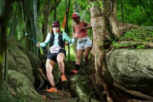 BIB: 
                            <button type="button" onclick="openModal(18501206)" class="btn btn-primary btn-sm float-right btn-popup" data-toggle="modal" data-target=".modal-high-quality">
                        <i class="fas fa-shopping-cart"></i> Add to Cart
                    </button>
                                            <button type="button" onclick="isThisMe(18501206, true)" class="btn btn-success btn-sm float-right btn-popup btn-isme hidden" data-toggle="tooltip" data-placement="bottom" title="นี่คือรูปของคุณใช่ไหม คลิกที่นี่เพื่อเอาเข้าอัลบั้ม">
                        <i class="fas fa-plus"></i> Add to album
                    </button>
                    <button type="button" onclick="isThisMe(18501206, false)" class="btn btn-warning btn-sm float-right btn-popup btn-isnotme hidden">
                        <i class="fas fa-ban"></i> Remove from album
                    </button>