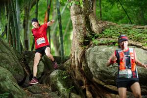 BIB: 
                            <button type="button" onclick="openModal(18501710)" class="btn btn-primary btn-sm float-right btn-popup" data-toggle="modal" data-target=".modal-high-quality">
                        <i class="fas fa-shopping-cart"></i> Add to Cart
                    </button>
                                            <button type="button" onclick="isThisMe(18501710, true)" class="btn btn-success btn-sm float-right btn-popup btn-isme hidden" data-toggle="tooltip" data-placement="bottom" title="นี่คือรูปของคุณใช่ไหม คลิกที่นี่เพื่อเอาเข้าอัลบั้ม">
                        <i class="fas fa-plus"></i> Add to album
                    </button>
                    <button type="button" onclick="isThisMe(18501710, false)" class="btn btn-warning btn-sm float-right btn-popup btn-isnotme hidden">
                        <i class="fas fa-ban"></i> Remove from album
                    </button>