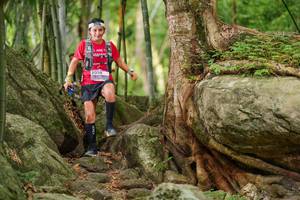 BIB: 
                            <button type="button" onclick="openModal(18502808)" class="btn btn-primary btn-sm float-right btn-popup" data-toggle="modal" data-target=".modal-high-quality">
                        <i class="fas fa-shopping-cart"></i> Add to Cart
                    </button>
                                            <button type="button" onclick="isThisMe(18502808, true)" class="btn btn-success btn-sm float-right btn-popup btn-isme hidden" data-toggle="tooltip" data-placement="bottom" title="นี่คือรูปของคุณใช่ไหม คลิกที่นี่เพื่อเอาเข้าอัลบั้ม">
                        <i class="fas fa-plus"></i> Add to album
                    </button>
                    <button type="button" onclick="isThisMe(18502808, false)" class="btn btn-warning btn-sm float-right btn-popup btn-isnotme hidden">
                        <i class="fas fa-ban"></i> Remove from album
                    </button>