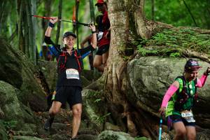 BIB: 
                            <button type="button" onclick="openModal(18493458)" class="btn btn-primary btn-sm float-right btn-popup" data-toggle="modal" data-target=".modal-high-quality">
                        <i class="fas fa-shopping-cart"></i> Add to Cart
                    </button>
                                            <button type="button" onclick="isThisMe(18493458, true)" class="btn btn-success btn-sm float-right btn-popup btn-isme hidden" data-toggle="tooltip" data-placement="bottom" title="นี่คือรูปของคุณใช่ไหม คลิกที่นี่เพื่อเอาเข้าอัลบั้ม">
                        <i class="fas fa-plus"></i> Add to album
                    </button>
                    <button type="button" onclick="isThisMe(18493458, false)" class="btn btn-warning btn-sm float-right btn-popup btn-isnotme hidden">
                        <i class="fas fa-ban"></i> Remove from album
                    </button>