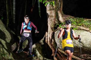 BIB: 
                            <button type="button" onclick="openModal(18500153)" class="btn btn-primary btn-sm float-right btn-popup" data-toggle="modal" data-target=".modal-high-quality">
                        <i class="fas fa-shopping-cart"></i> Add to Cart
                    </button>
                                            <button type="button" onclick="isThisMe(18500153, true)" class="btn btn-success btn-sm float-right btn-popup btn-isme hidden" data-toggle="tooltip" data-placement="bottom" title="นี่คือรูปของคุณใช่ไหม คลิกที่นี่เพื่อเอาเข้าอัลบั้ม">
                        <i class="fas fa-plus"></i> Add to album
                    </button>
                    <button type="button" onclick="isThisMe(18500153, false)" class="btn btn-warning btn-sm float-right btn-popup btn-isnotme hidden">
                        <i class="fas fa-ban"></i> Remove from album
                    </button>