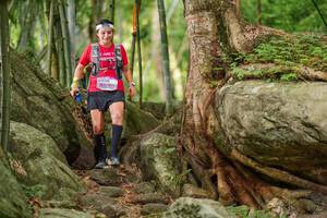 BIB: 
                            <button type="button" onclick="openModal(18502809)" class="btn btn-primary btn-sm float-right btn-popup" data-toggle="modal" data-target=".modal-high-quality">
                        <i class="fas fa-shopping-cart"></i> Add to Cart
                    </button>
                                            <button type="button" onclick="isThisMe(18502809, true)" class="btn btn-success btn-sm float-right btn-popup btn-isme hidden" data-toggle="tooltip" data-placement="bottom" title="นี่คือรูปของคุณใช่ไหม คลิกที่นี่เพื่อเอาเข้าอัลบั้ม">
                        <i class="fas fa-plus"></i> Add to album
                    </button>
                    <button type="button" onclick="isThisMe(18502809, false)" class="btn btn-warning btn-sm float-right btn-popup btn-isnotme hidden">
                        <i class="fas fa-ban"></i> Remove from album
                    </button>