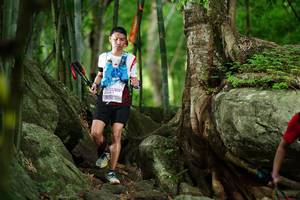 BIB: 
                            <button type="button" onclick="openModal(18501013)" class="btn btn-primary btn-sm float-right btn-popup" data-toggle="modal" data-target=".modal-high-quality">
                        <i class="fas fa-shopping-cart"></i> Add to Cart
                    </button>
                                            <button type="button" onclick="isThisMe(18501013, true)" class="btn btn-success btn-sm float-right btn-popup btn-isme hidden" data-toggle="tooltip" data-placement="bottom" title="นี่คือรูปของคุณใช่ไหม คลิกที่นี่เพื่อเอาเข้าอัลบั้ม">
                        <i class="fas fa-plus"></i> Add to album
                    </button>
                    <button type="button" onclick="isThisMe(18501013, false)" class="btn btn-warning btn-sm float-right btn-popup btn-isnotme hidden">
                        <i class="fas fa-ban"></i> Remove from album
                    </button>