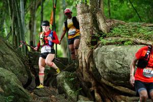 BIB: 
                            <button type="button" onclick="openModal(18501753)" class="btn btn-primary btn-sm float-right btn-popup" data-toggle="modal" data-target=".modal-high-quality">
                        <i class="fas fa-shopping-cart"></i> Add to Cart
                    </button>
                                            <button type="button" onclick="isThisMe(18501753, true)" class="btn btn-success btn-sm float-right btn-popup btn-isme hidden" data-toggle="tooltip" data-placement="bottom" title="นี่คือรูปของคุณใช่ไหม คลิกที่นี่เพื่อเอาเข้าอัลบั้ม">
                        <i class="fas fa-plus"></i> Add to album
                    </button>
                    <button type="button" onclick="isThisMe(18501753, false)" class="btn btn-warning btn-sm float-right btn-popup btn-isnotme hidden">
                        <i class="fas fa-ban"></i> Remove from album
                    </button>