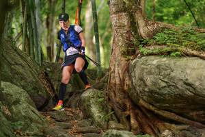 BIB: 
                            <button type="button" onclick="openModal(18502865)" class="btn btn-primary btn-sm float-right btn-popup" data-toggle="modal" data-target=".modal-high-quality">
                        <i class="fas fa-shopping-cart"></i> Add to Cart
                    </button>
                                            <button type="button" onclick="isThisMe(18502865, true)" class="btn btn-success btn-sm float-right btn-popup btn-isme hidden" data-toggle="tooltip" data-placement="bottom" title="นี่คือรูปของคุณใช่ไหม คลิกที่นี่เพื่อเอาเข้าอัลบั้ม">
                        <i class="fas fa-plus"></i> Add to album
                    </button>
                    <button type="button" onclick="isThisMe(18502865, false)" class="btn btn-warning btn-sm float-right btn-popup btn-isnotme hidden">
                        <i class="fas fa-ban"></i> Remove from album
                    </button>