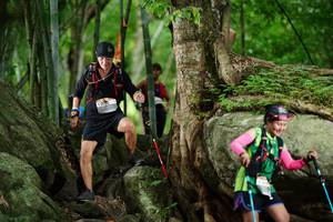 BIB: 
                            <button type="button" onclick="openModal(18493443)" class="btn btn-primary btn-sm float-right btn-popup" data-toggle="modal" data-target=".modal-high-quality">
                        <i class="fas fa-shopping-cart"></i> Add to Cart
                    </button>
                                            <button type="button" onclick="isThisMe(18493443, true)" class="btn btn-success btn-sm float-right btn-popup btn-isme hidden" data-toggle="tooltip" data-placement="bottom" title="นี่คือรูปของคุณใช่ไหม คลิกที่นี่เพื่อเอาเข้าอัลบั้ม">
                        <i class="fas fa-plus"></i> Add to album
                    </button>
                    <button type="button" onclick="isThisMe(18493443, false)" class="btn btn-warning btn-sm float-right btn-popup btn-isnotme hidden">
                        <i class="fas fa-ban"></i> Remove from album
                    </button>