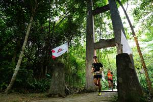 BIB: 
                            <button type="button" onclick="openModal(18584954)" class="btn btn-primary btn-sm float-right btn-popup" data-toggle="modal" data-target=".modal-high-quality">
                        <i class="fas fa-shopping-cart"></i> Add to Cart
                    </button>
                                            <button type="button" onclick="isThisMe(18584954, true)" class="btn btn-success btn-sm float-right btn-popup btn-isme hidden" data-toggle="tooltip" data-placement="bottom" title="นี่คือรูปของคุณใช่ไหม คลิกที่นี่เพื่อเอาเข้าอัลบั้ม">
                        <i class="fas fa-plus"></i> Add to album
                    </button>
                    <button type="button" onclick="isThisMe(18584954, false)" class="btn btn-warning btn-sm float-right btn-popup btn-isnotme hidden">
                        <i class="fas fa-ban"></i> Remove from album
                    </button>