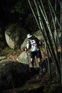 BIB: 
                            <button type="button" onclick="openModal(18479920)" class="btn btn-primary btn-sm float-right btn-popup" data-toggle="modal" data-target=".modal-high-quality">
                        <i class="fas fa-shopping-cart"></i> Add to Cart
                    </button>
                                            <button type="button" onclick="isThisMe(18479920, true)" class="btn btn-success btn-sm float-right btn-popup btn-isme hidden" data-toggle="tooltip" data-placement="bottom" title="นี่คือรูปของคุณใช่ไหม คลิกที่นี่เพื่อเอาเข้าอัลบั้ม">
                        <i class="fas fa-plus"></i> Add to album
                    </button>
                    <button type="button" onclick="isThisMe(18479920, false)" class="btn btn-warning btn-sm float-right btn-popup btn-isnotme hidden">
                        <i class="fas fa-ban"></i> Remove from album
                    </button>