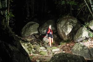 BIB: 
                            <button type="button" onclick="openModal(18467439)" class="btn btn-primary btn-sm float-right btn-popup" data-toggle="modal" data-target=".modal-high-quality">
                        <i class="fas fa-shopping-cart"></i> Add to Cart
                    </button>
                                            <button type="button" onclick="isThisMe(18467439, true)" class="btn btn-success btn-sm float-right btn-popup btn-isme hidden" data-toggle="tooltip" data-placement="bottom" title="นี่คือรูปของคุณใช่ไหม คลิกที่นี่เพื่อเอาเข้าอัลบั้ม">
                        <i class="fas fa-plus"></i> Add to album
                    </button>
                    <button type="button" onclick="isThisMe(18467439, false)" class="btn btn-warning btn-sm float-right btn-popup btn-isnotme hidden">
                        <i class="fas fa-ban"></i> Remove from album
                    </button>