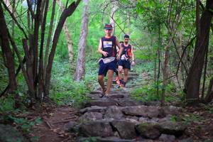 BIB: 
                            <button type="button" onclick="openModal(18526005)" class="btn btn-primary btn-sm float-right btn-popup" data-toggle="modal" data-target=".modal-high-quality">
                        <i class="fas fa-shopping-cart"></i> Add to Cart
                    </button>
                                            <button type="button" onclick="isThisMe(18526005, true)" class="btn btn-success btn-sm float-right btn-popup btn-isme hidden" data-toggle="tooltip" data-placement="bottom" title="นี่คือรูปของคุณใช่ไหม คลิกที่นี่เพื่อเอาเข้าอัลบั้ม">
                        <i class="fas fa-plus"></i> Add to album
                    </button>
                    <button type="button" onclick="isThisMe(18526005, false)" class="btn btn-warning btn-sm float-right btn-popup btn-isnotme hidden">
                        <i class="fas fa-ban"></i> Remove from album
                    </button>