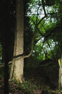 BIB: 
                            <button type="button" onclick="openModal(18588983)" class="btn btn-primary btn-sm float-right btn-popup" data-toggle="modal" data-target=".modal-high-quality">
                        <i class="fas fa-shopping-cart"></i> Add to Cart
                    </button>
                                            <button type="button" onclick="isThisMe(18588983, true)" class="btn btn-success btn-sm float-right btn-popup btn-isme hidden" data-toggle="tooltip" data-placement="bottom" title="นี่คือรูปของคุณใช่ไหม คลิกที่นี่เพื่อเอาเข้าอัลบั้ม">
                        <i class="fas fa-plus"></i> Add to album
                    </button>
                    <button type="button" onclick="isThisMe(18588983, false)" class="btn btn-warning btn-sm float-right btn-popup btn-isnotme hidden">
                        <i class="fas fa-ban"></i> Remove from album
                    </button>