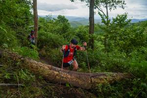 BIB: 
                            <button type="button" onclick="openModal(18513642)" class="btn btn-primary btn-sm float-right btn-popup" data-toggle="modal" data-target=".modal-high-quality">
                        <i class="fas fa-shopping-cart"></i> Add to Cart
                    </button>
                                            <button type="button" onclick="isThisMe(18513642, true)" class="btn btn-success btn-sm float-right btn-popup btn-isme hidden" data-toggle="tooltip" data-placement="bottom" title="นี่คือรูปของคุณใช่ไหม คลิกที่นี่เพื่อเอาเข้าอัลบั้ม">
                        <i class="fas fa-plus"></i> Add to album
                    </button>
                    <button type="button" onclick="isThisMe(18513642, false)" class="btn btn-warning btn-sm float-right btn-popup btn-isnotme hidden">
                        <i class="fas fa-ban"></i> Remove from album
                    </button>