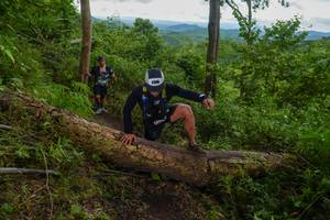 BIB: 
                            <button type="button" onclick="openModal(18513468)" class="btn btn-primary btn-sm float-right btn-popup" data-toggle="modal" data-target=".modal-high-quality">
                        <i class="fas fa-shopping-cart"></i> Add to Cart
                    </button>
                                            <button type="button" onclick="isThisMe(18513468, true)" class="btn btn-success btn-sm float-right btn-popup btn-isme hidden" data-toggle="tooltip" data-placement="bottom" title="นี่คือรูปของคุณใช่ไหม คลิกที่นี่เพื่อเอาเข้าอัลบั้ม">
                        <i class="fas fa-plus"></i> Add to album
                    </button>
                    <button type="button" onclick="isThisMe(18513468, false)" class="btn btn-warning btn-sm float-right btn-popup btn-isnotme hidden">
                        <i class="fas fa-ban"></i> Remove from album
                    </button>