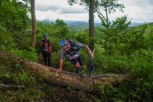 BIB: 
                            <button type="button" onclick="openModal(18513562)" class="btn btn-primary btn-sm float-right btn-popup" data-toggle="modal" data-target=".modal-high-quality">
                        <i class="fas fa-shopping-cart"></i> Add to Cart
                    </button>
                                            <button type="button" onclick="isThisMe(18513562, true)" class="btn btn-success btn-sm float-right btn-popup btn-isme hidden" data-toggle="tooltip" data-placement="bottom" title="นี่คือรูปของคุณใช่ไหม คลิกที่นี่เพื่อเอาเข้าอัลบั้ม">
                        <i class="fas fa-plus"></i> Add to album
                    </button>
                    <button type="button" onclick="isThisMe(18513562, false)" class="btn btn-warning btn-sm float-right btn-popup btn-isnotme hidden">
                        <i class="fas fa-ban"></i> Remove from album
                    </button>