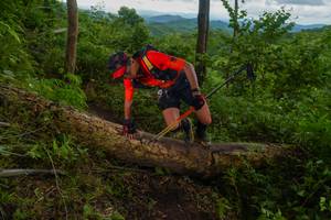 BIB: 
                            <button type="button" onclick="openModal(18513366)" class="btn btn-primary btn-sm float-right btn-popup" data-toggle="modal" data-target=".modal-high-quality">
                        <i class="fas fa-shopping-cart"></i> Add to Cart
                    </button>
                                            <button type="button" onclick="isThisMe(18513366, true)" class="btn btn-success btn-sm float-right btn-popup btn-isme hidden" data-toggle="tooltip" data-placement="bottom" title="นี่คือรูปของคุณใช่ไหม คลิกที่นี่เพื่อเอาเข้าอัลบั้ม">
                        <i class="fas fa-plus"></i> Add to album
                    </button>
                    <button type="button" onclick="isThisMe(18513366, false)" class="btn btn-warning btn-sm float-right btn-popup btn-isnotme hidden">
                        <i class="fas fa-ban"></i> Remove from album
                    </button>