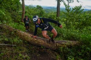 BIB: 
                            <button type="button" onclick="openModal(18513470)" class="btn btn-primary btn-sm float-right btn-popup" data-toggle="modal" data-target=".modal-high-quality">
                        <i class="fas fa-shopping-cart"></i> Add to Cart
                    </button>
                                            <button type="button" onclick="isThisMe(18513470, true)" class="btn btn-success btn-sm float-right btn-popup btn-isme hidden" data-toggle="tooltip" data-placement="bottom" title="นี่คือรูปของคุณใช่ไหม คลิกที่นี่เพื่อเอาเข้าอัลบั้ม">
                        <i class="fas fa-plus"></i> Add to album
                    </button>
                    <button type="button" onclick="isThisMe(18513470, false)" class="btn btn-warning btn-sm float-right btn-popup btn-isnotme hidden">
                        <i class="fas fa-ban"></i> Remove from album
                    </button>